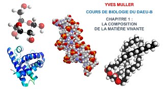 Chapitre 1 – Composition de la matière vivante  Cours de Biologie du DAEUB [upl. by Nylodnew]