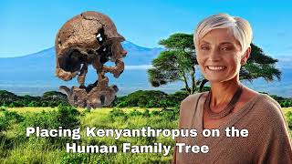 Kenyanthropus platyops Move over Lucy Australopithecus no longer at base of Genus Homo [upl. by Yeaton]