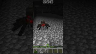 The Ultimate Minecraft Spider Fight [upl. by Gladis596]