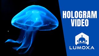 JELLYFISH 2  3D Animation for hologram  hélice holographique [upl. by Joelynn]