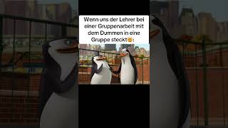 randomstutf Meme moment funnymoments funny memesextremlustig comedy lustig real funnyvideo [upl. by Tilney358]