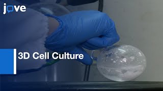 Preparation ChitosanBased Injectable Hydrogels amp Application3D Cell Culture l Protocol Preview [upl. by Ott]