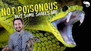 Zoologist Explains Snake Venom  Poisonous vs Venomous amp How Venom Kills [upl. by Yung997]