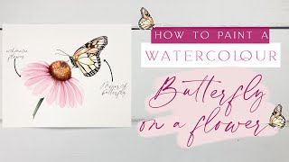 Watercolour Butterfly On A Flower Tutorial  Monarch Butterfly on an Echinacea Flower [upl. by Cathyleen]