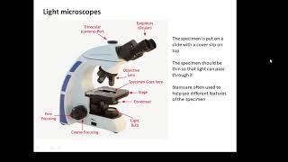 BTEC Applied Science Unit 1 Biology Microscopes [upl. by Aikenahs392]