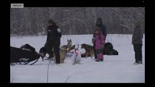 Iditarod 2024  Pete Kaiser into Nikolai [upl. by Ellehcim883]