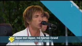 Per Gessle Sommartider Live Allsång på Skansen [upl. by Soulier]