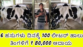 6 ಹಸುಗಳು ದಿನಕ್ಕೆ 100 ಲೀಟರ್ ಹಾಲು ತಿಂಗಳಿಗೆ 80000 ಆದಾಯ  cow cowfarming dailyfarm cowfarm milk [upl. by Conias]