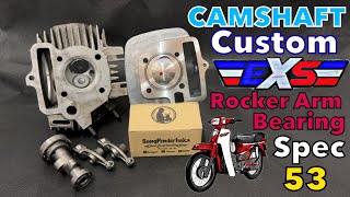 Cam custom EX5 Bearing spec 53 [upl. by Modestia]