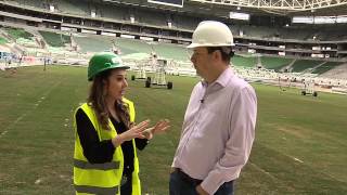 Conheça o Allianz Parque  O Centenário Alviverde [upl. by Ilatan]