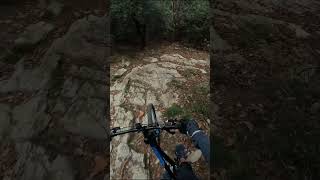 Video già fuori mtb genova automobile downhill bike perte mtblife funny mountainbike [upl. by Aurilia]