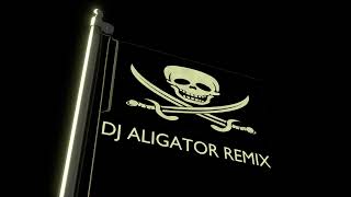 DJ ALIGATOR REMIX  ARE YOU DEAF [upl. by Reeta211]