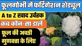 फुलगोभी की खेती spray and fertigation schedule on cauliflower🥬crops6070rskg in Rainey season 🌧️☔ [upl. by Retnyw]