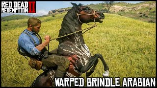 The WARPED BRINDLE Arabian  Red Dead Redemption 2 Story Mode [upl. by Burny]