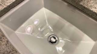 KOHLER K 2355 NY Archer Undercounter Bathroom Sink Review Spa Like Serenity [upl. by Poock]