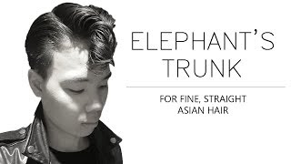 Elephants TrunkJelly Roll Hair Tutorial for Fine Straight Asian Hair  Rockabilly Hairstyle [upl. by Annora818]