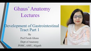 Development of Gastrointestinal Tract Part 1 [upl. by Enahpets]