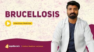 Brucellosis  Infectious Medicine Lectures  Medical Education  VLearning  sqadiacom [upl. by Bourn]