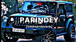 Parindey  SlowedReverb Song  Trending amp Hindi Song trending 🎶 hindi song [upl. by Yrrot761]