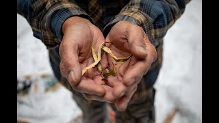 Devin Naveau – Planning for Seven Generations in the Mattagami First Nation [upl. by Luttrell50]