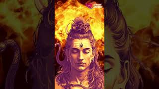 Om namah shivaya om Sivan whatsapp status thiruvannamalai status annamalaiyar status shorts [upl. by Maxama651]