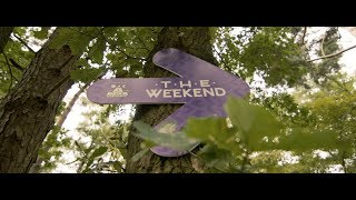 Decibel outdoor 2017 – the weekend  official aftermovie [upl. by Loralee626]