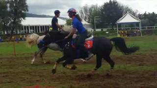 Trofeo 4 Regioni 2016  Pony Mounted Games [upl. by Nohsal]