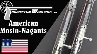 American Mosin Nagant Rifles [upl. by Slosberg]