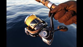 Shimano Stella SW  Technology [upl. by Ativak]