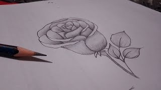 Easy rose drawing 🌹 [upl. by Benedikt551]