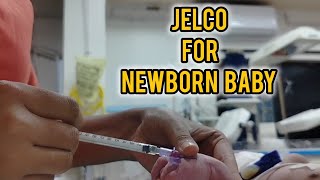 Iv Cannula procedure For Newborn  How To Insert Iv Canula  Jelco Procedure viralvideo trending [upl. by Vogel]