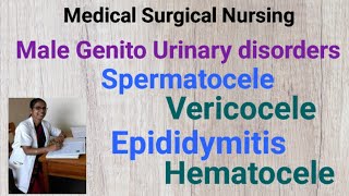 Medical Surgical Nursing Spermatocele vericocele Epididymitis HematoceleMale Genito Urinary dr [upl. by Tnomed]