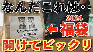 【福袋2024】なんだこれ‥秋葉原で見つけた『ガチャガチャ福袋』の中身が予想外でした。【ガチャ｜福袋｜アニメ福袋】 [upl. by Mir911]