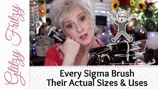 EVERY Sigma Brush [upl. by Cima673]