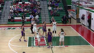 Lincoln Lady Railers vs Williamsville121217 1st Half [upl. by Langham]