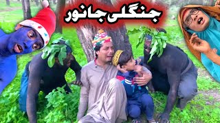 Zangali Zanawar Pashto New Funny Video 2023 by Tuti Gull Official [upl. by Averill]