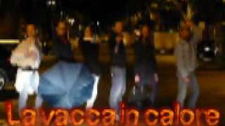 La vacca in calore [upl. by Seen]