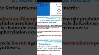 biochimie métabolisme cycle de Krebs✅ [upl. by Krell]
