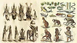 Hinduism  10 Avatars of Vishnu and Darwins Theory of Evolution  Parallels [upl. by Rieth678]