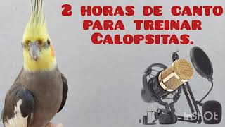 Calopsita cantando Fiu Fiu e Hino Nacional [upl. by Alimhaj]