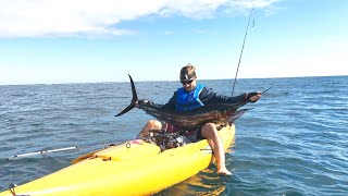 Giant King Mackerel and Sailfish Kayak Fishing Florida [upl. by Tnahsarp207]