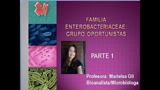 ENTEROBACTERIAS PARTE 1 [upl. by Blynn]