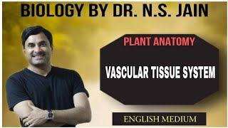 Vascular Tissue System Plant Anatomy  English Medium [upl. by Aleksandr167]