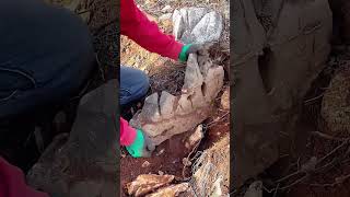 The process of digging ornamental stones [upl. by Ailemac]