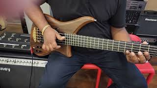 Alembic Epic 5 USA  Lahiru Guitar Shop Sri Lanka [upl. by Elwee757]