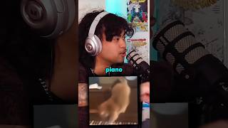 Cat piano meme Mandela effect 😱 jumpersjump podcast scary mystery [upl. by Peppel252]