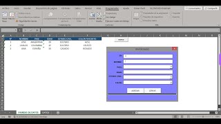 FORMULARIO DE INGRESO DE DATOS EN EXCEL PLANTILLA GRATIS DESCARGABLE [upl. by Aynna]