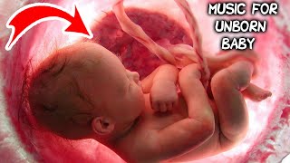 Music for unborn baby  Brain development  Relax [upl. by Jaala222]