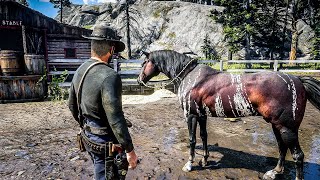 7 Existing Arabian horses in RDR2 [upl. by Shari]