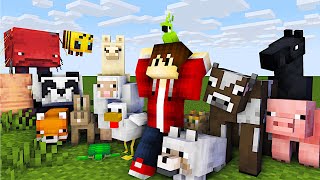 Alle Tiere Zähmen und Vermehren in Minecraft  LarsLP [upl. by Abate]